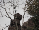 PICTURES/Barnhardt Trail/t_Balancing Rock.jpg